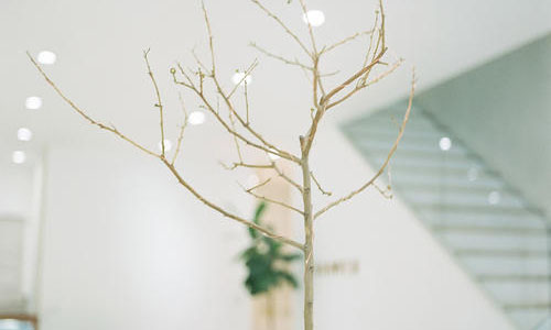 CSS3之背景background-origin